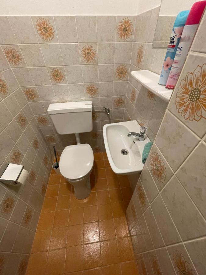 Ferienwohnung Maxi Maishofen Ngoại thất bức ảnh