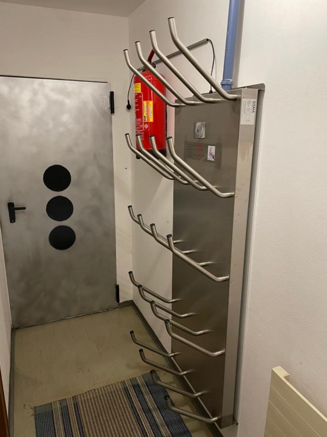 Ferienwohnung Maxi Maishofen Ngoại thất bức ảnh
